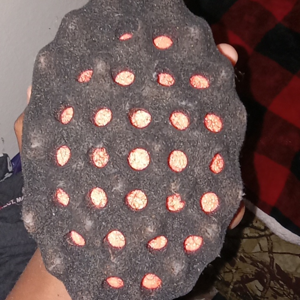 Hair Sponge